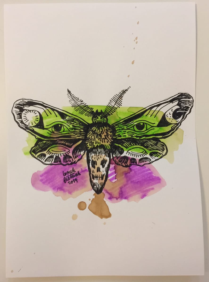 moth-4-2014-poor-quality-photo